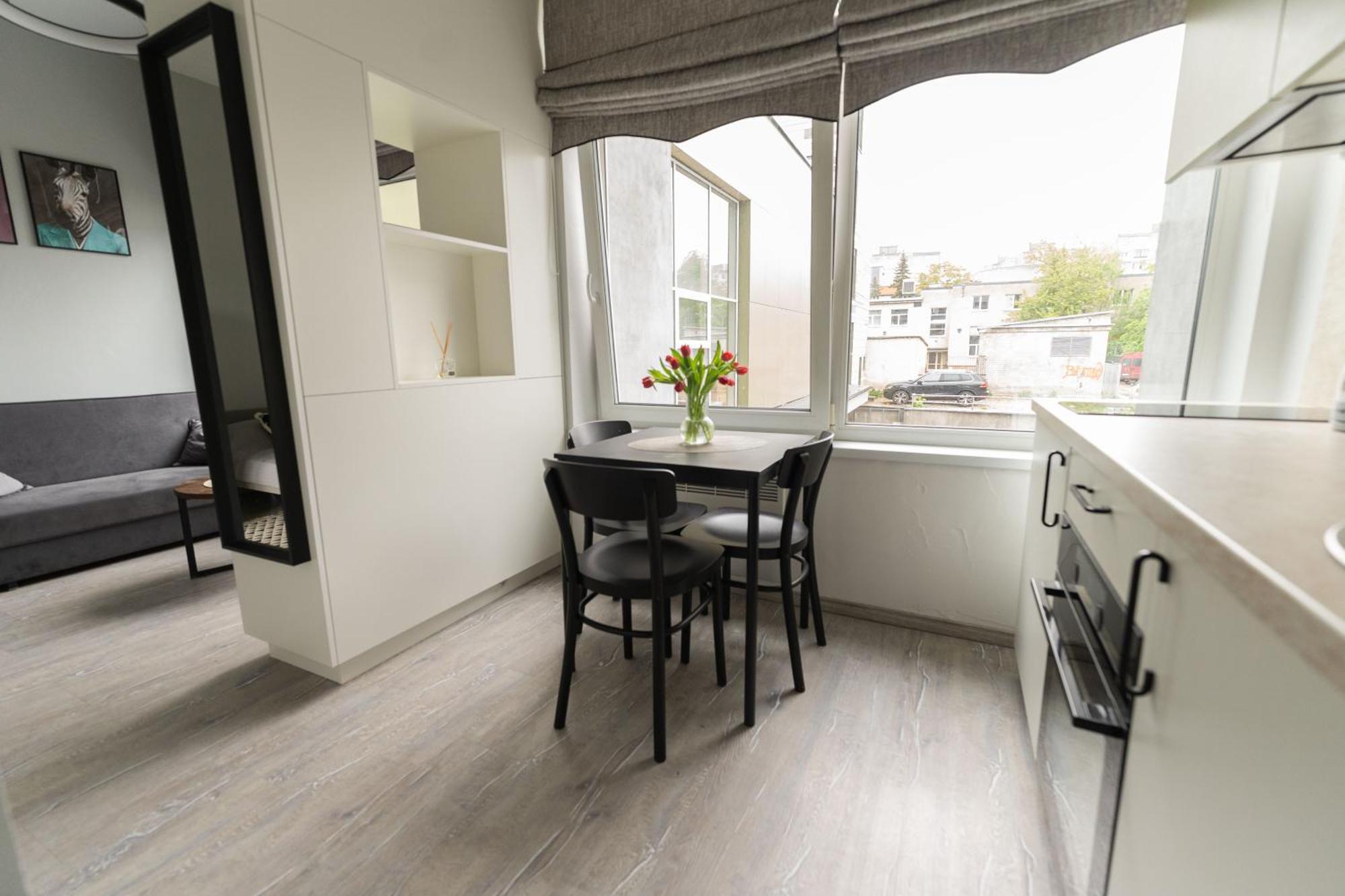 Cozy And Modern Loft Next To The Old Town VNO